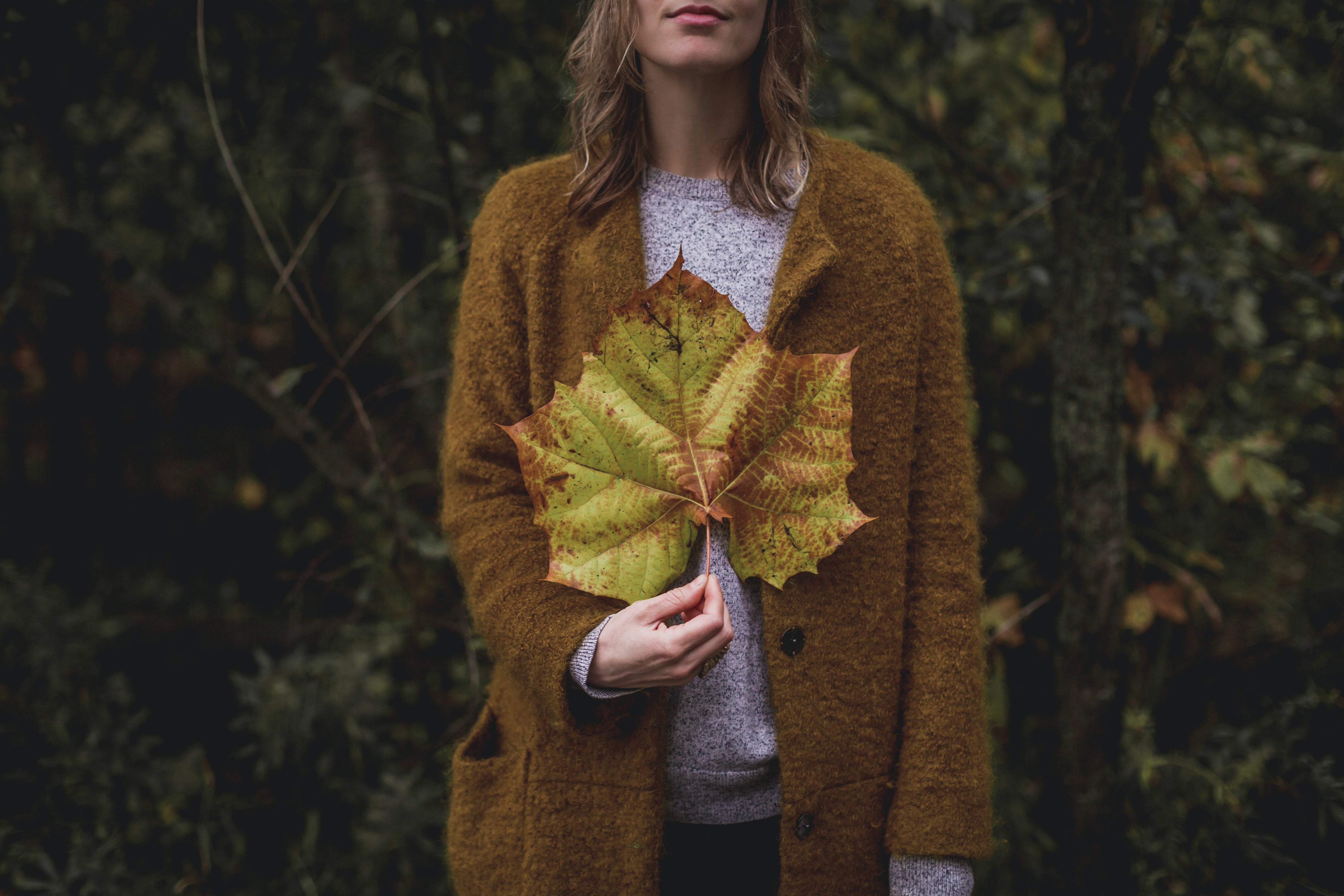 Herbst 2025